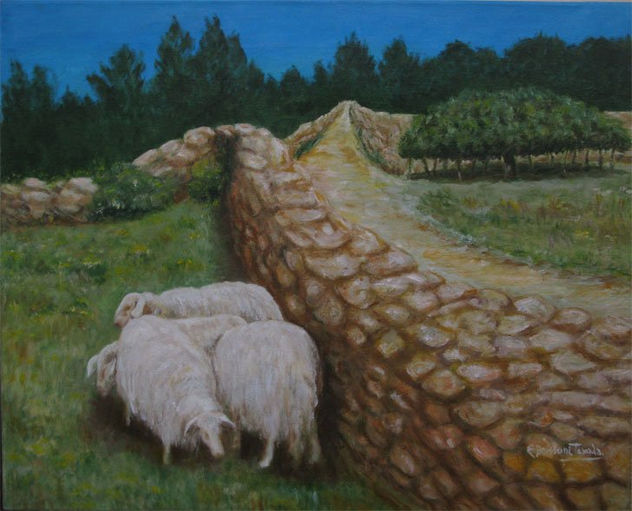 Ovejitas en el campo de Formentera