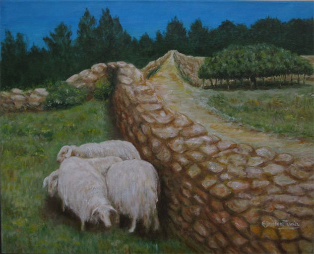 Ovejitas en el campo de Formentera Óleo Lienzo Paisaje