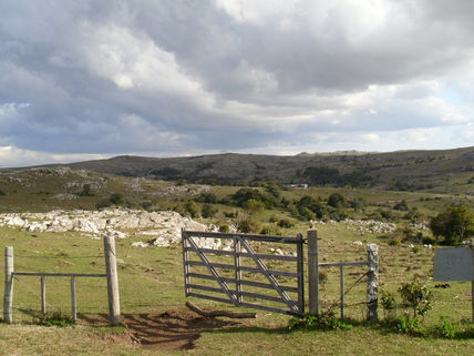 Portera