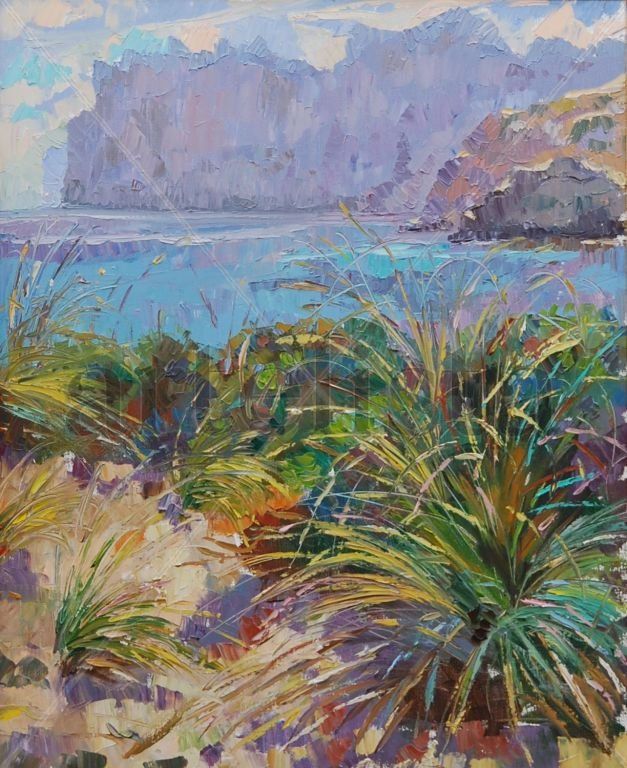 CALA SANT VICENÇ