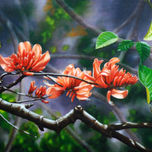 "Flores" thumbnail 2