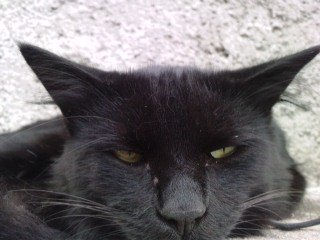Descanso