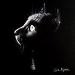 Animales thumbnail 1