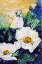 Flor