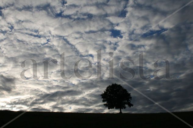 Nubes Nature Color (Digital)