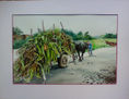 Cargando pasto