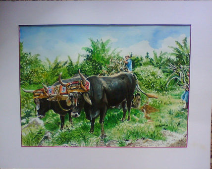 Carreta