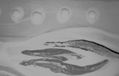ABSTRACTO 9 - DETALLE