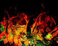 ABSTRACTO 21 DETALLE