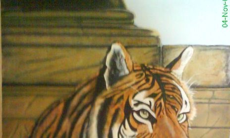 animales