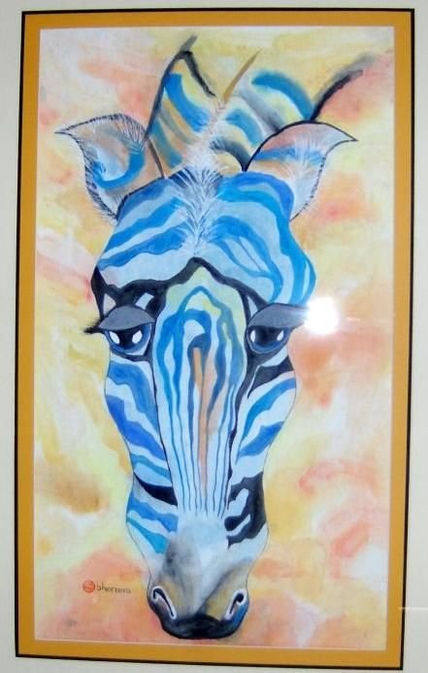 Zebra arcoiris