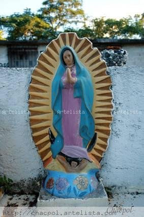 Guadalupe 162