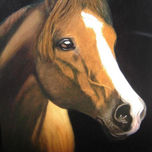 Caballos thumbnail 1