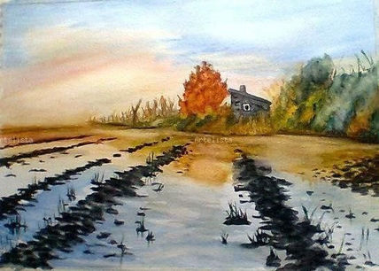 Atardecer en el...