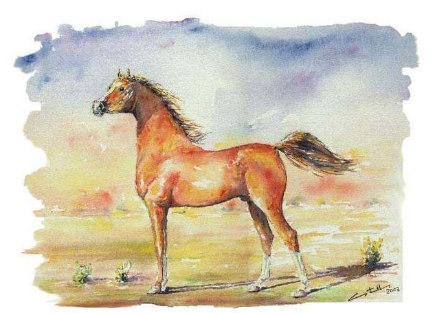 Arabe. Watercolour