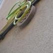 2010-07-04 Fotos Proyecto  2 thumbnail 1