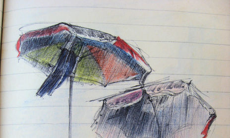 Cuaderno de campo
