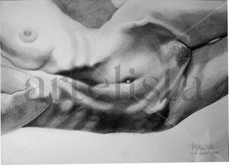 Torso femenino desnudo
