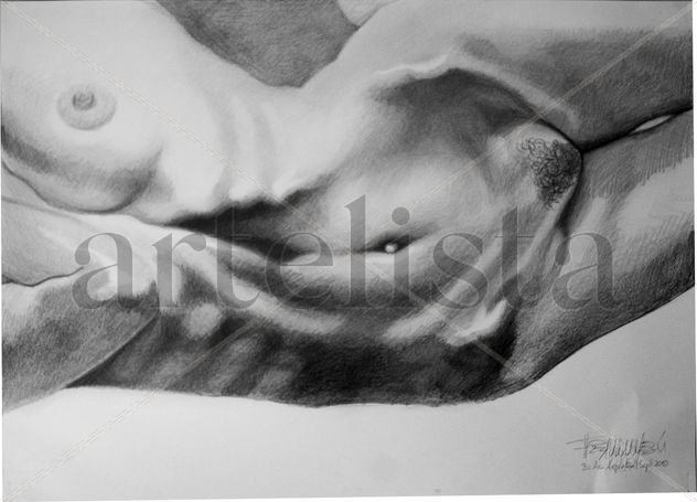 Torso femenino desnudo
