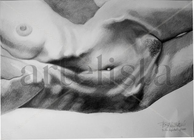 Torso femenino desnudo Graphite