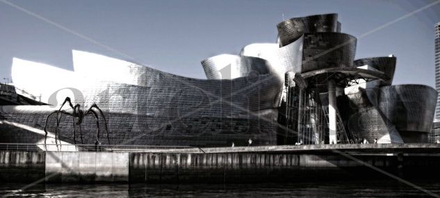 Guggenheim bilbao Architecture and Interiorism Color (Manual)