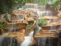 Agua en el bosque