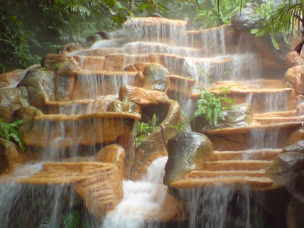 Agua en el bosque