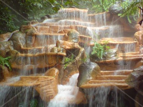 Agua en el bosque