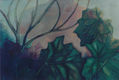 naturaleza