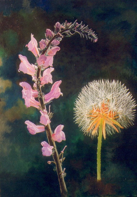 flores