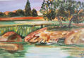 Paisaje