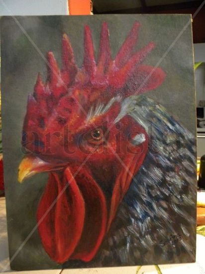 Gallito Pinto Oil Canvas Animals