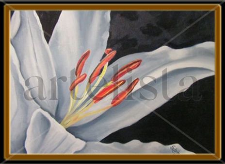 Cala lily