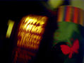Bibel und Schmetterling