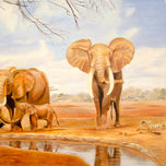 Fauna thumbnail 1