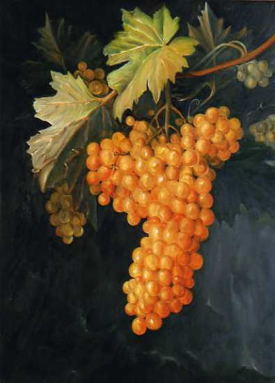 Racimo de uvas Oil Canvas Landscaping