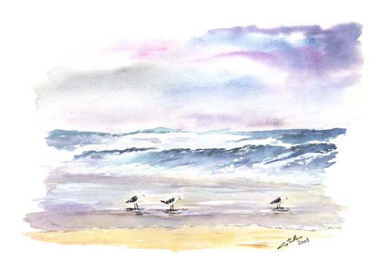 Gaviotas Watercolour