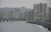 Viña