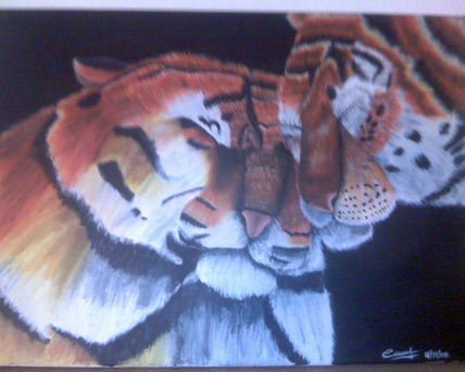 Amor felino