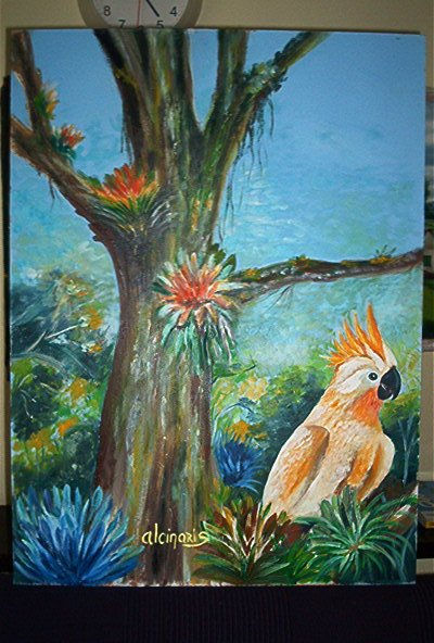 Cacatua