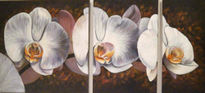 Orquidea