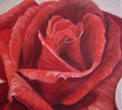 Una rosa