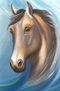 Cabeza de caballo 2