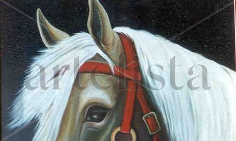 Caballos