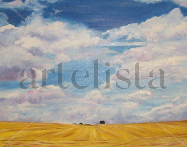 campos de la mancha