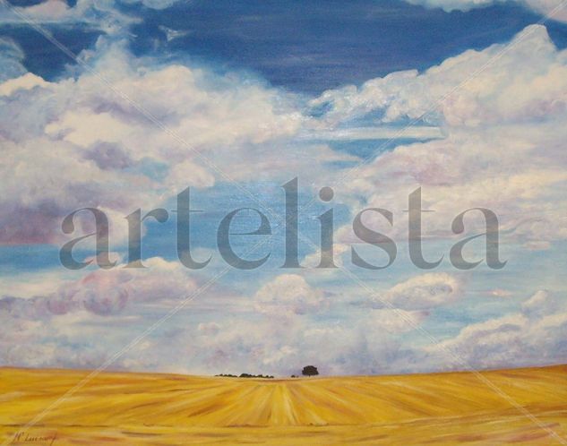 campos de la mancha Acrylic Canvas Landscaping