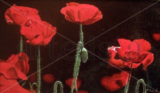 amapolas