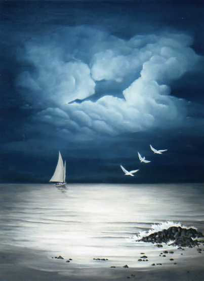 Marina nocturna con gaviotas