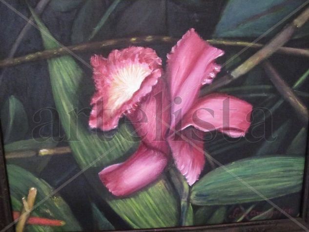 orquidea Oil Canvas Floral Painting