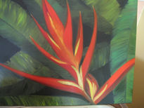 Heliconia